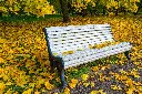 dmitry_gor-UIM-5GDXxmQ-unsplash.webp