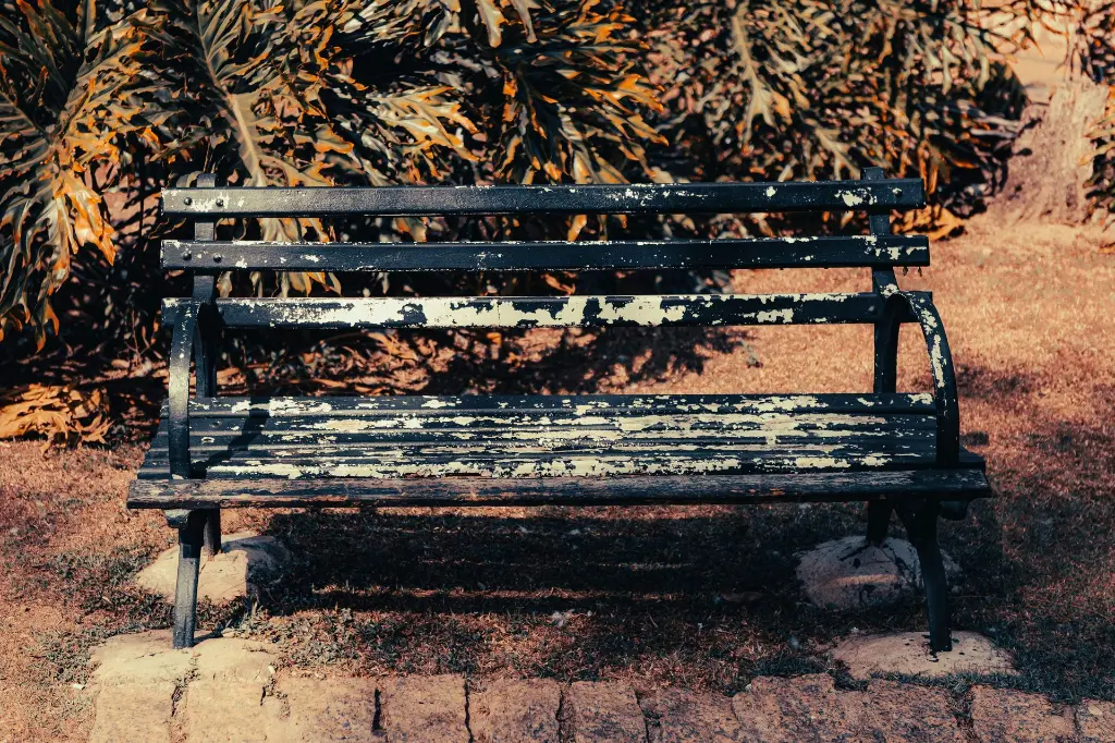 lucas-santos-M1QROTjyqKA-unsplash.webp